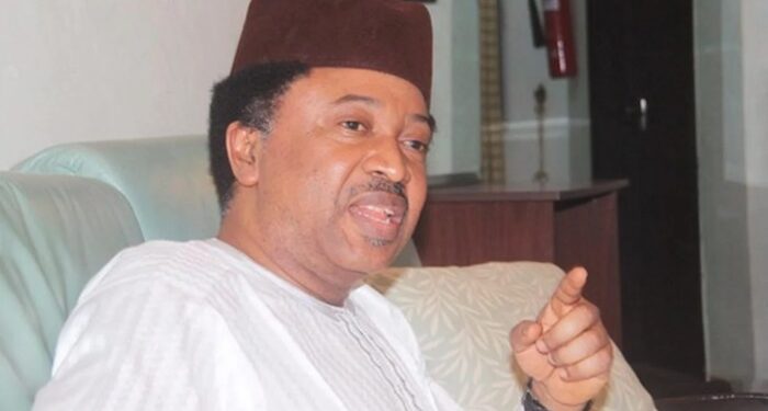 Senator Shehu Sani Criticizes Buhari’s Record on Northern Security