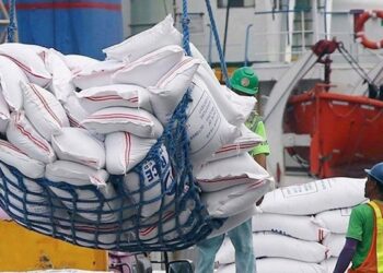 Nigeria Suspends Import Duties on Essential Food Items to Combat Inflation