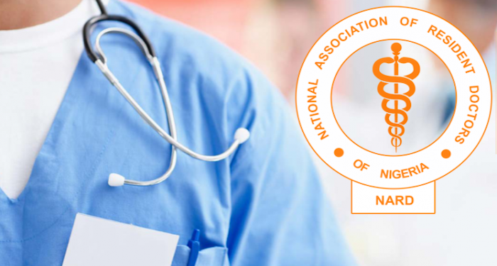 FG Warns NARD of ‘No Work, No Pay’ Policy Amid Ongoing Strike