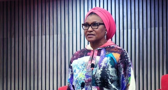 Senator Ireti Kingibe Defends Record Amid Criticism from FCT Women, Highlights Challenges in the National Assembly