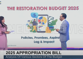 Nigeria’s $1 Trillion GDP Goal Lacks Strategy, Says Economic Analyst Bismarck Rewane