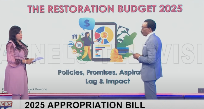 Nigeria’s $1 Trillion GDP Goal Lacks Strategy, Says Economic Analyst Bismarck Rewane
