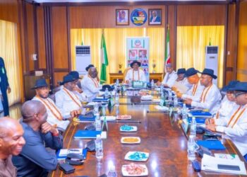 PDP Governors Take Bold Steps to Save Party, Confirm Udeh-Okoye as National Secretary Amid Internal Crisis