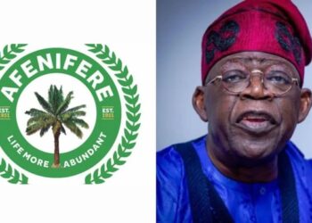 Afenifere Warns Against Plot to Destabilise Tinubu Presidency Through Ethnic Division