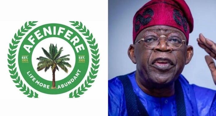 Afenifere Warns Against Plot to Destabilise Tinubu Presidency Through Ethnic Division