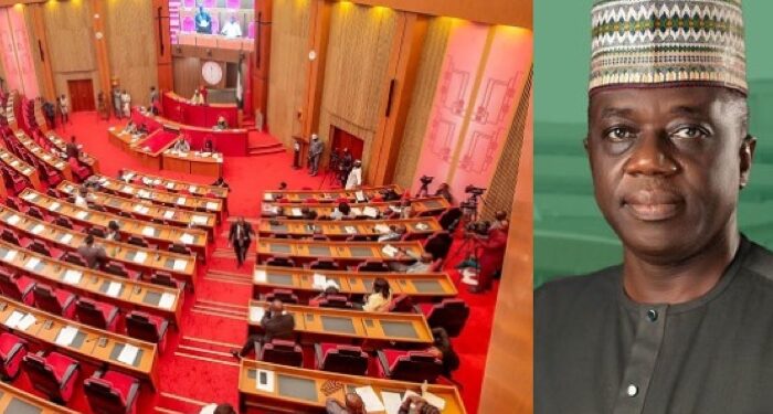 Senate Blasts AGF Over Zero Capital Allocations, Unpaid Contractors, and N28 Trillion Revenue Gap