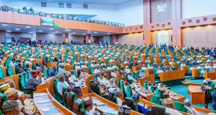 Auditor-General Budget 2026: Reps Warn Underfunding Threatens Anti-Corruption Oversight