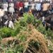 Three Killed in Fresh Plateau Attack as Security Concerns Deepen in Jos South